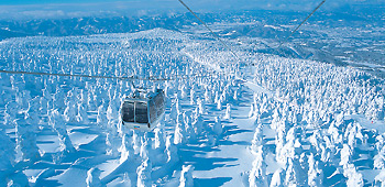 �y�G�[�XJTB�E�������s�z�R�`�c�A�[�E�R�`�̗��فE�z�e���\��@